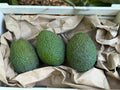AGUACATES HASS